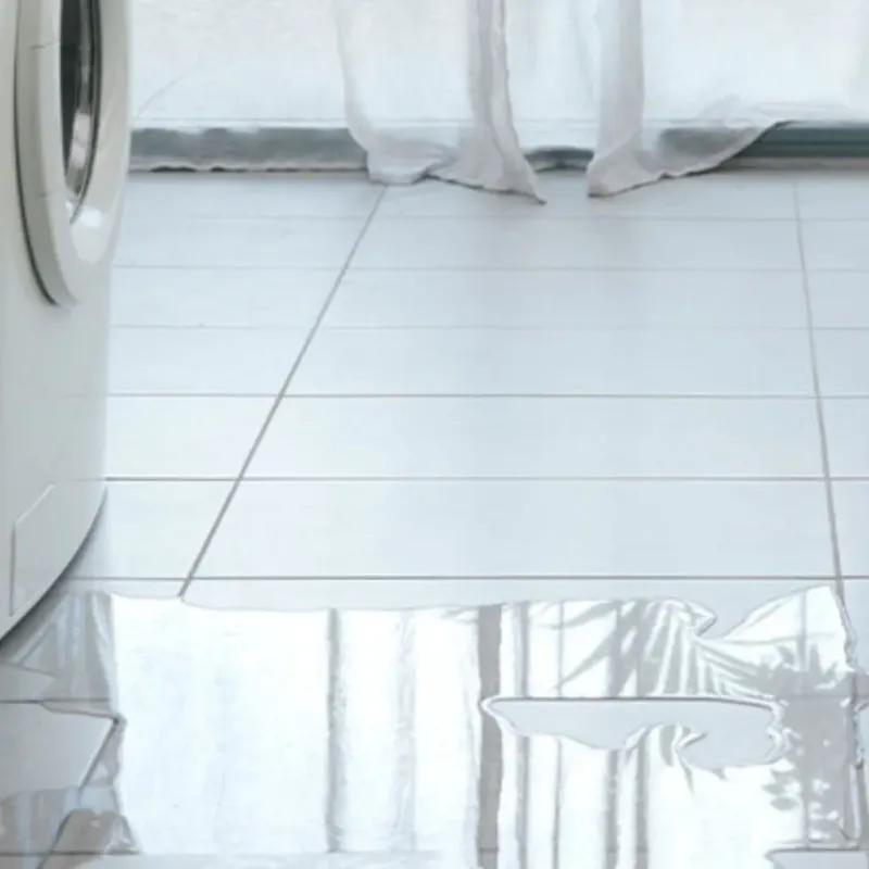Appliance Leak Cleanup in Whitfield, FL