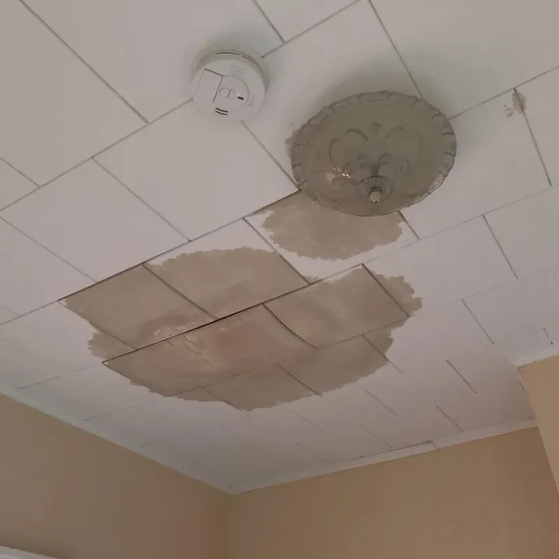 Ceiling Water Damage Repair in Whitfield, FL