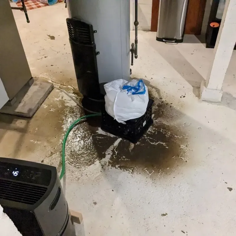 Sewage Backup Cleanup Service in Whitfield, FL